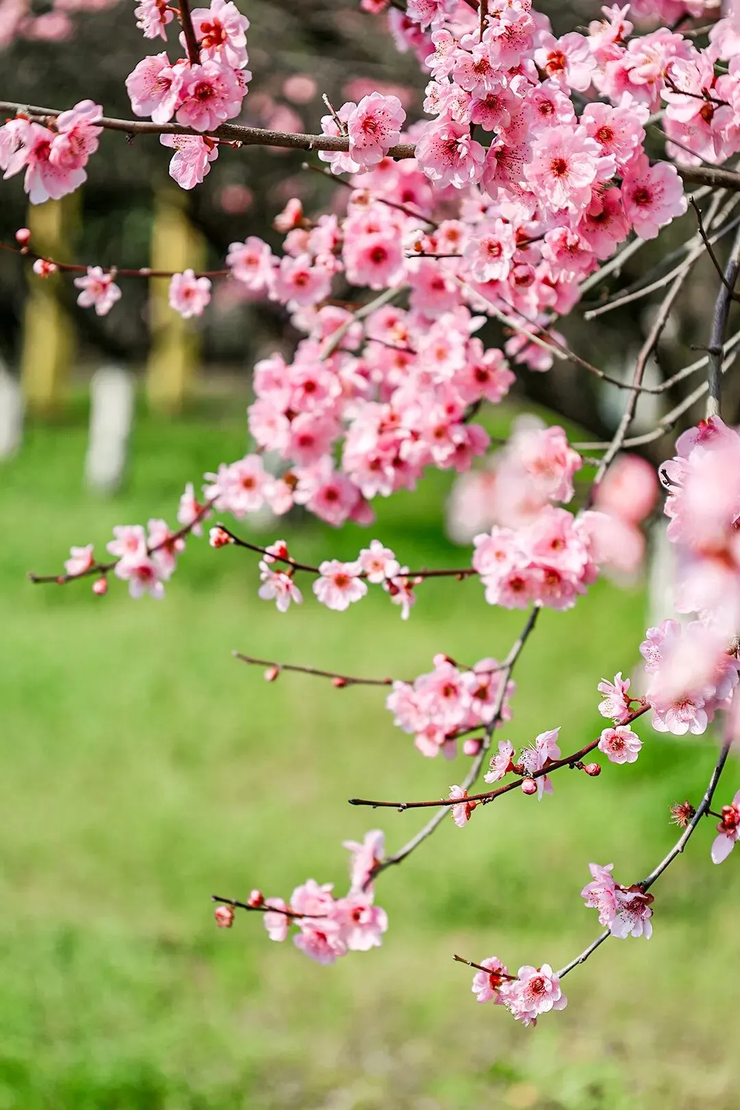 35c971e4a4d0e9a139cdaca7764f1da8-sz_231928