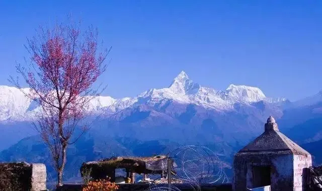 36038f699e41c056962dfae6c23d0ae2-sz_450114-1