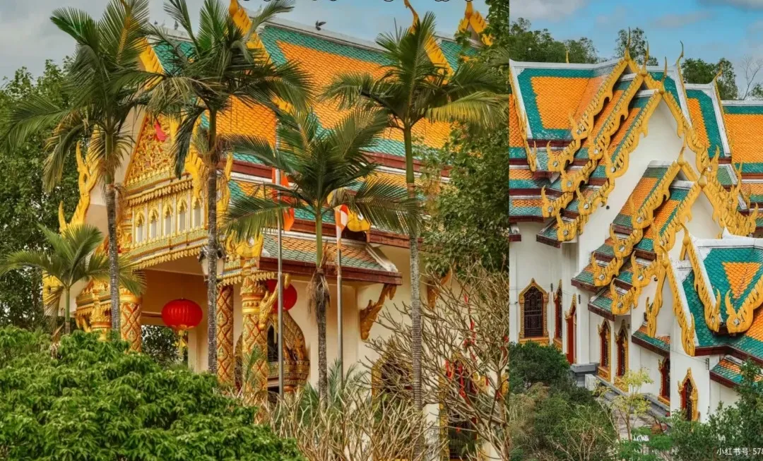 36111f62f54e6c452e41a5583f569502-sz_626101 36111f62f54e6c452e41a5583f569502-sz_626101