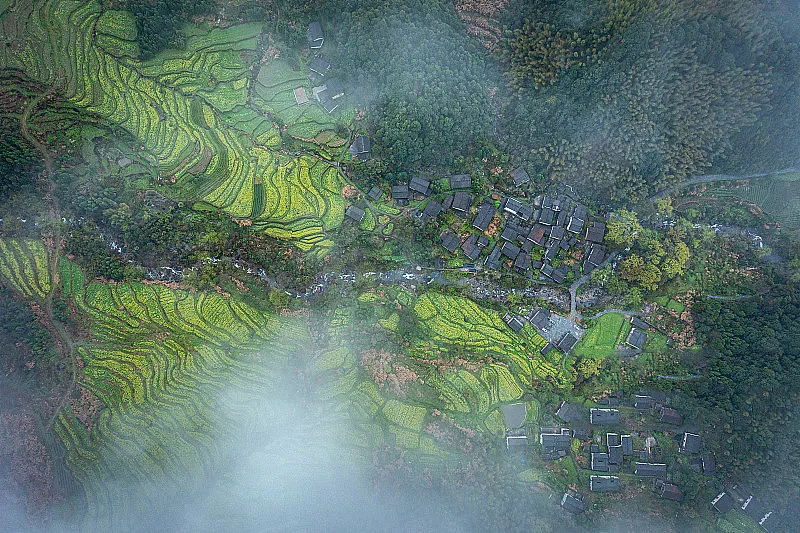 361217330d447b4395dbdb5d811e4fea-sz_549106