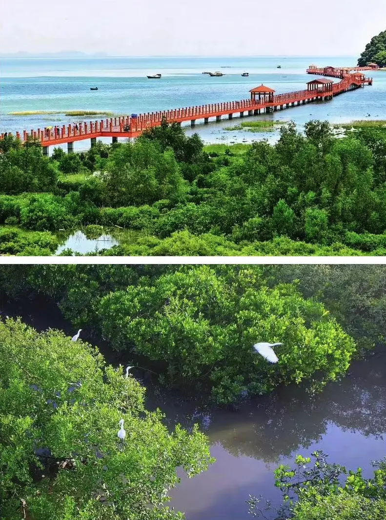 361e5744667c71972d6d3422eb1ce253-sz_255786