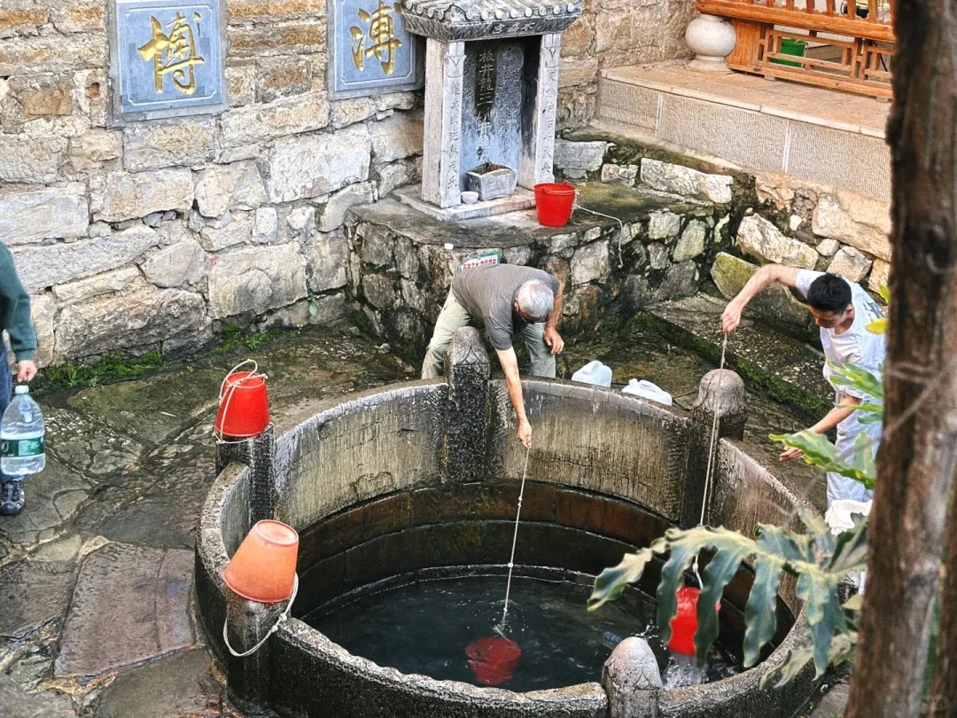 363ca3050e1e8798fccd1dc818864f85-sz_4124041