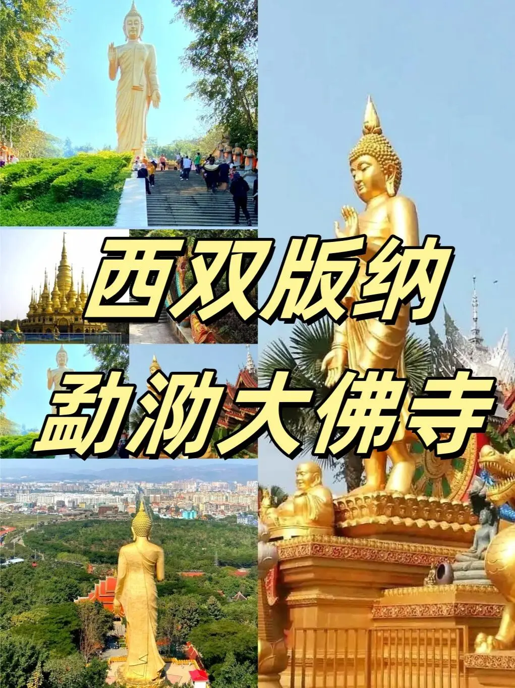 365b5866716cf784eb6d7359b4a4eec1-sz_283323