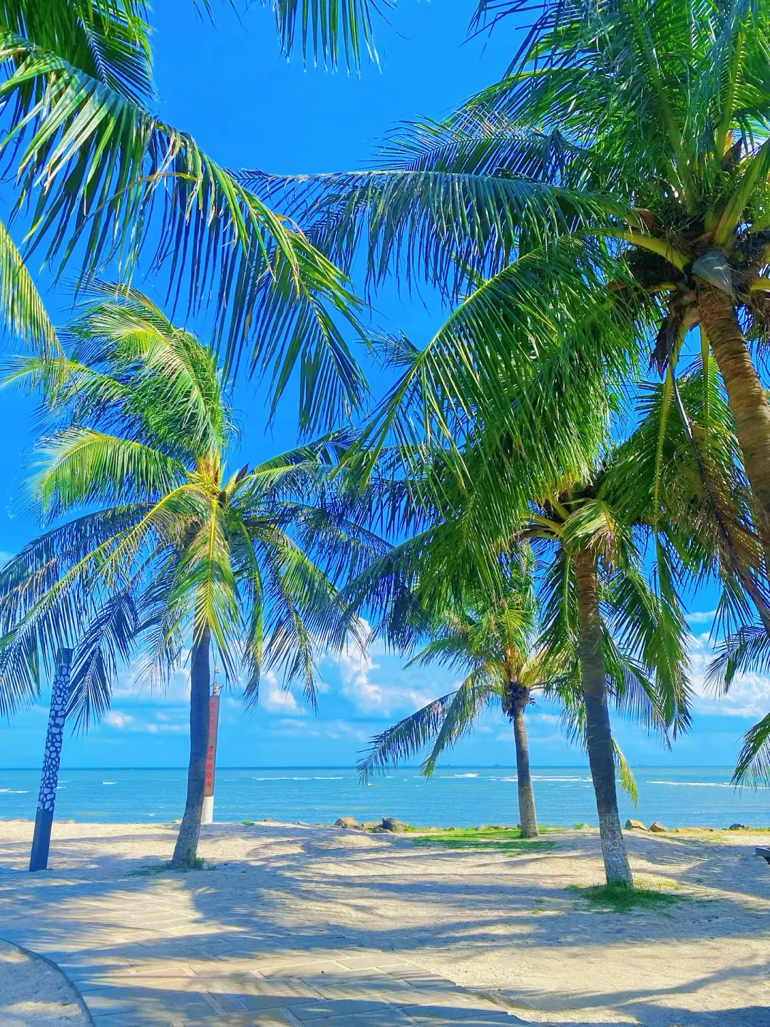 3696f9075b27dadda0774bf4b5a24ac5-sz_5717396 3696f9075b27dadda0774bf4b5a24ac5-sz_5717396