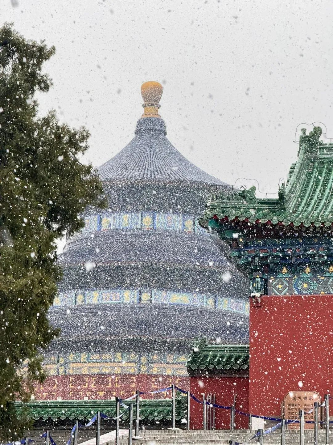 36a8effd5172438b389eb9ab5531f25c-sz_700994 36a8effd5172438b389eb9ab5531f25c-sz_700994