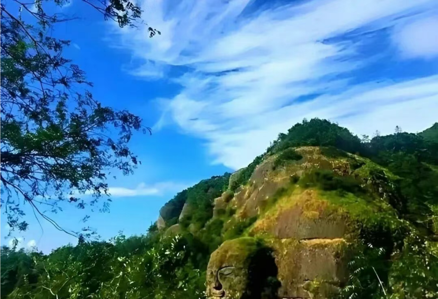 36b88041020f4216bf06c9c48cdf7715