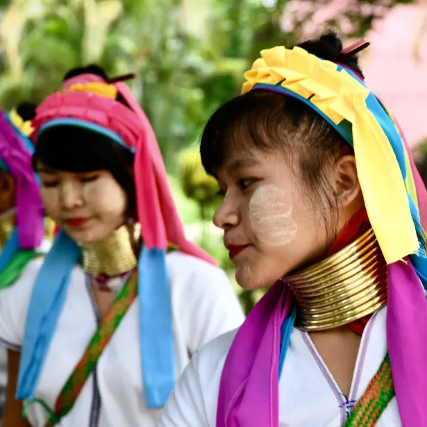 36bdabb9a17a71a6b1d3640b821fd663-sz_1451183 36bdabb9a17a71a6b1d3640b821fd663-sz_1451183