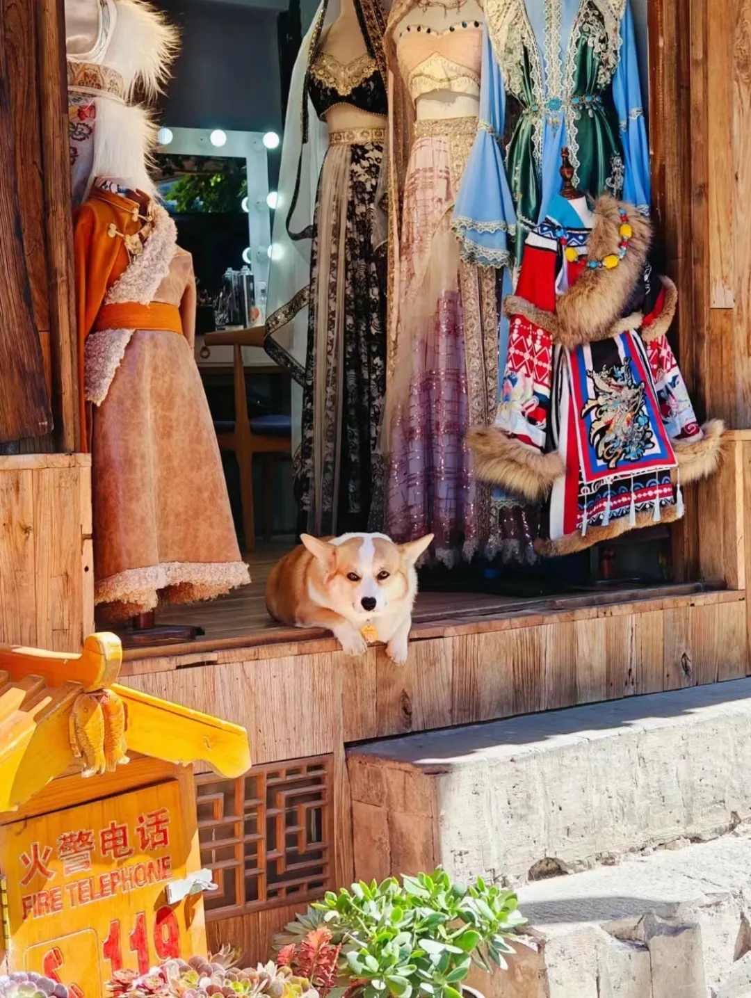 36c170a30f9faced23d7da616b959ed1-sz_510436 36c170a30f9faced23d7da616b959ed1-sz_510436