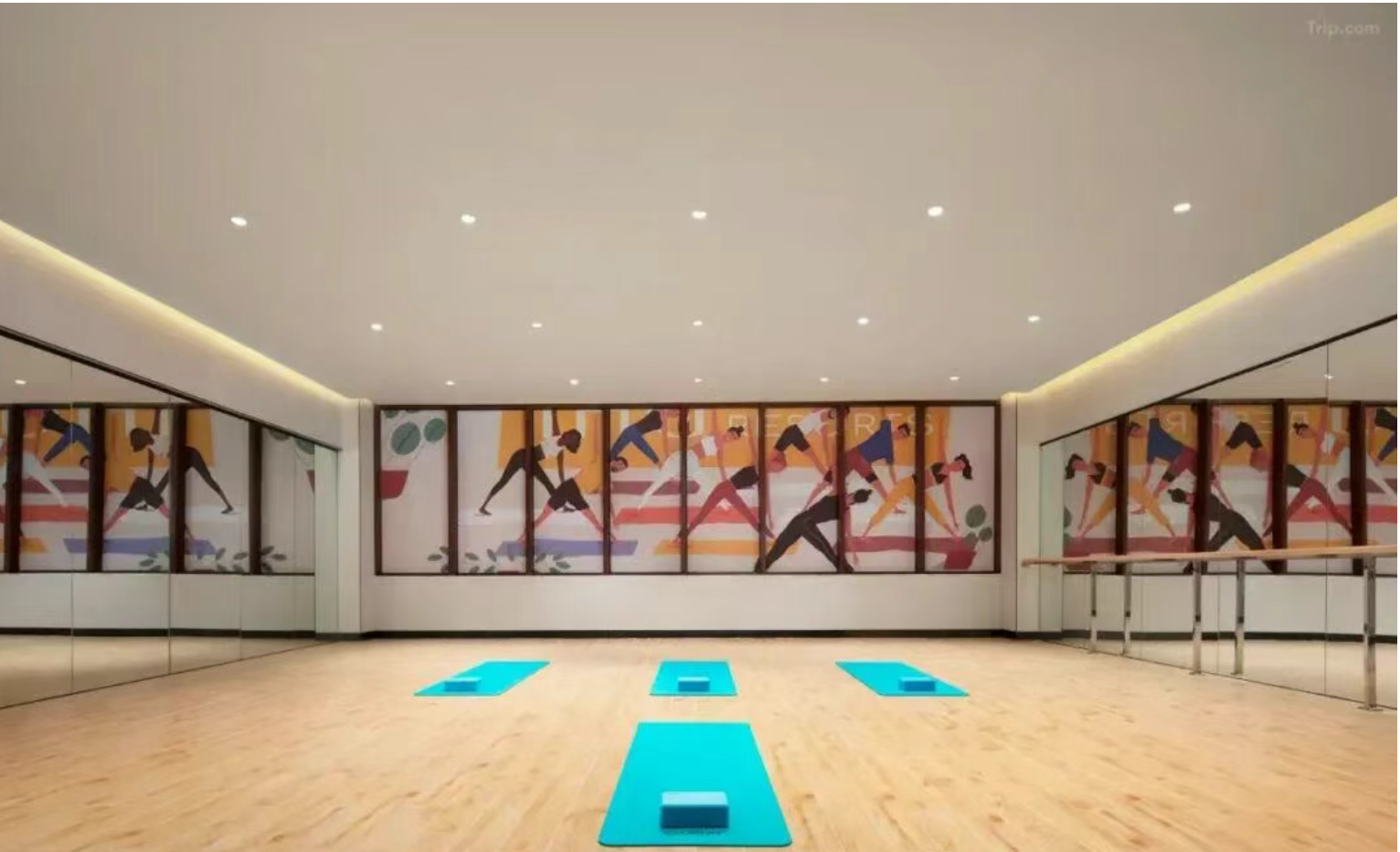 36d8f21a379605cd59ba4c57fd3d7e52