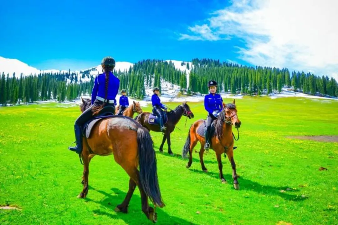 371f10601bcfa254230f2041b75bcf1d-sz_459927-2