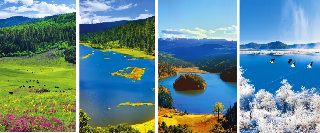 3729497a05e43d0026b5aa670e80970f-sz_1013941 3729497a05e43d0026b5aa670e80970f-sz_1013941