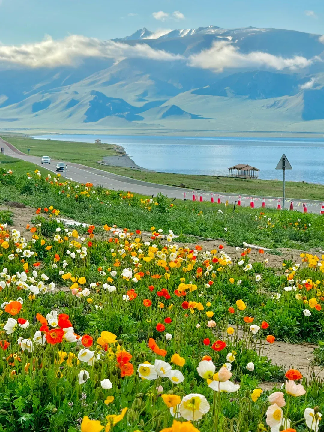 37c19ad1a98243cfe3b25abf10f463c8-sz_3503678 37c19ad1a98243cfe3b25abf10f463c8-sz_3503678