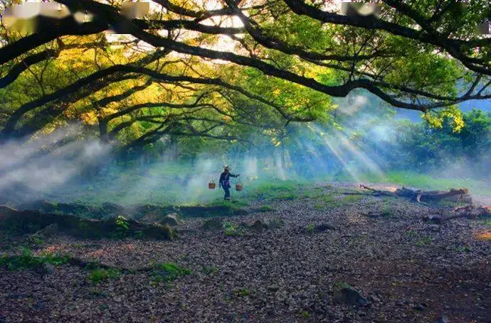 37cd8491ca6cc01303722cd100a8d95b-sz_78226-1