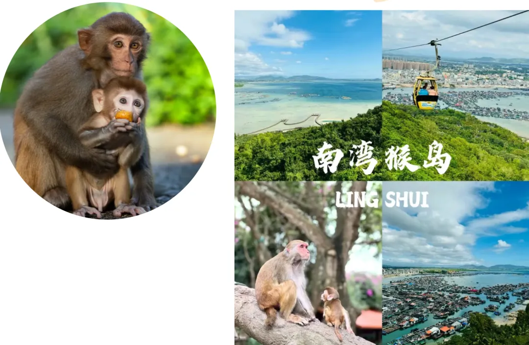 37dc2919c9023fa941cba41c61d35004-sz_2021077