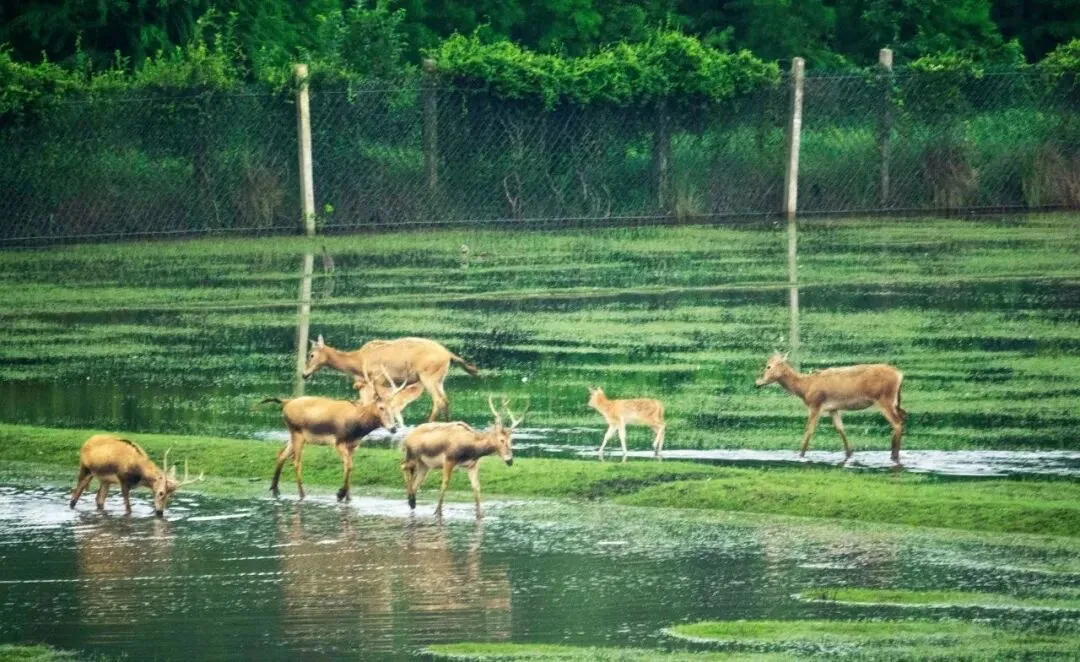 37e2b63f7b95f9d2178371efda81af4f-sz_245269