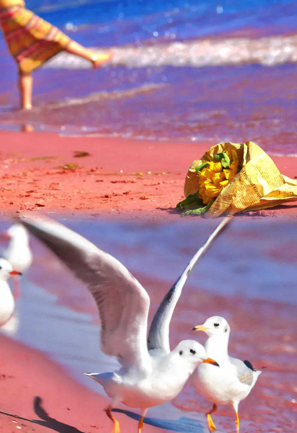 383f1b07b478b9980c21daf2285c8bc3-sz_1469362 383f1b07b478b9980c21daf2285c8bc3-sz_1469362