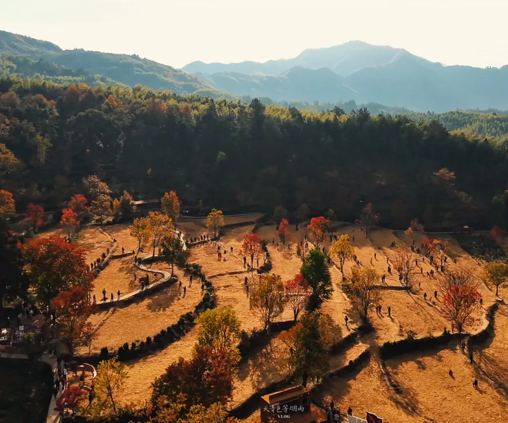 392c27c8a5d30cabdeffec63b5abb275-sz_257157 392c27c8a5d30cabdeffec63b5abb275-sz_257157