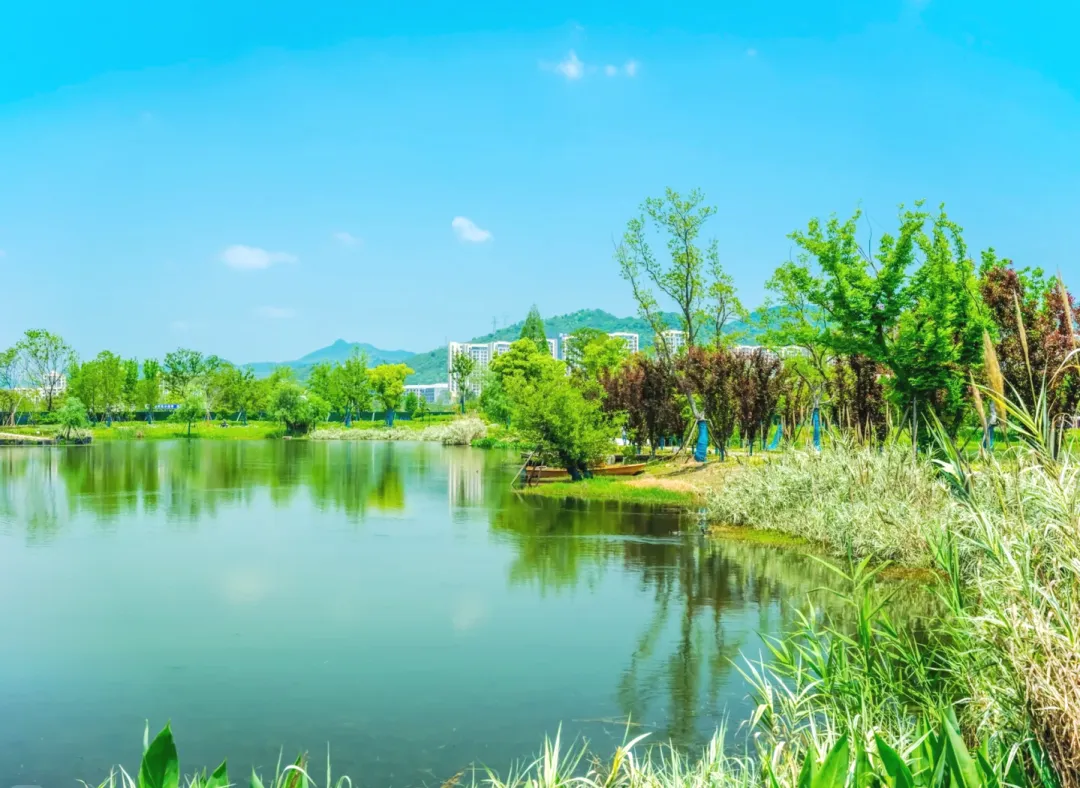 392c898c3fbd2bcf5d6a78bc67e2a9af-sz_1704989 392c898c3fbd2bcf5d6a78bc67e2a9af-sz_1704989