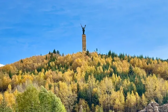 394d3fc591fa9553aabbd2d352ad3ef5-sz_601981