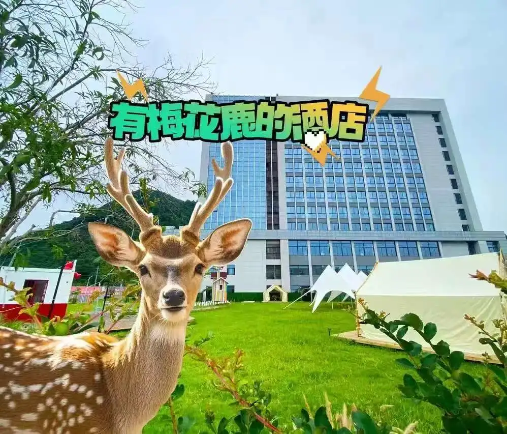 395fc976fe8701ce6668a4243888d28a-sz_142817