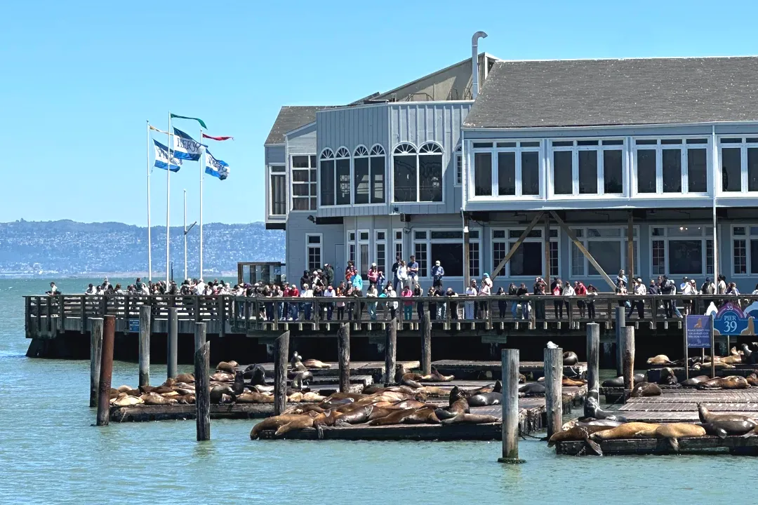 3960e43d03be7eea618865513fcc9e90-sz_1498693 3960e43d03be7eea618865513fcc9e90-sz_1498693