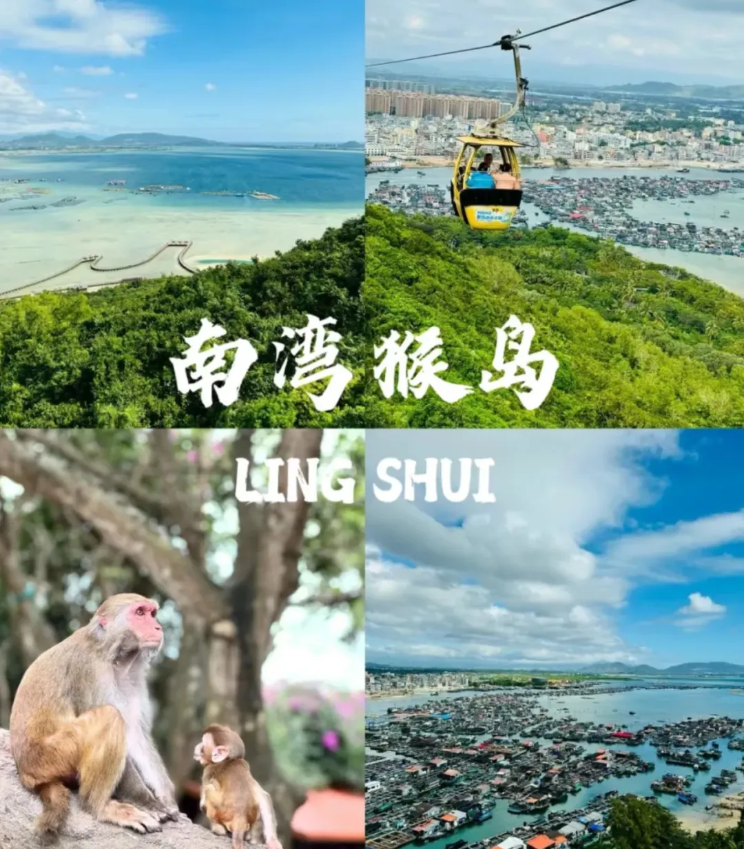 398a85cf48d2552167a4850fcbab27de-sz_2969250