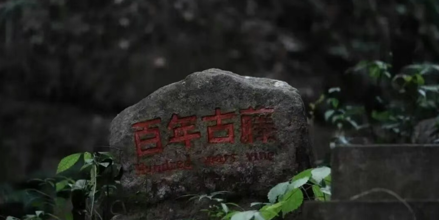 3994b83283c16c17a641d080e0948bbb