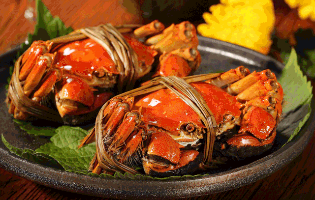 3999ba2b801225ef49a79aa9df3747d2-sz_543317