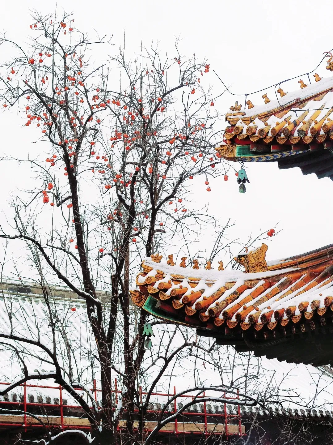 39b2df86164e74eb818624a9037a910c-sz_714905-7 39b2df86164e74eb818624a9037a910c-sz_714905-7