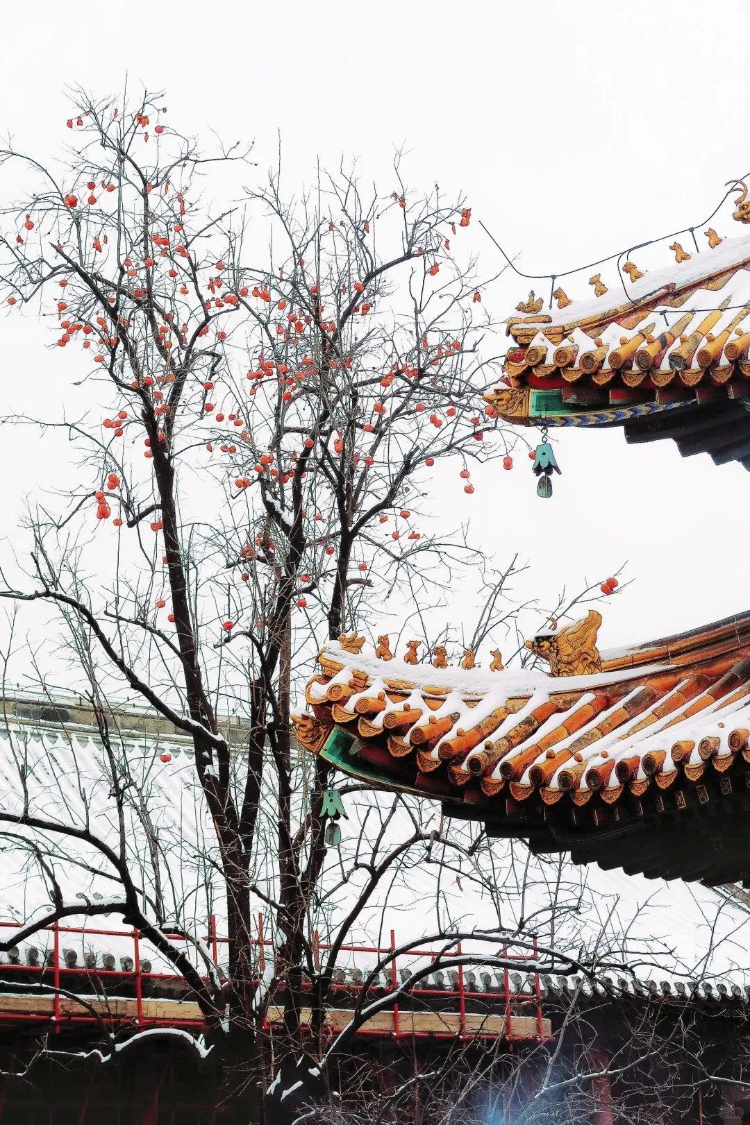 39b2df86164e74eb818624a9037a910c-sz_714905-9