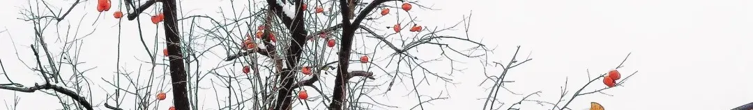 39b2df86164e74eb818624a9037a910c-sz_714905 39b2df86164e74eb818624a9037a910c-sz_714905