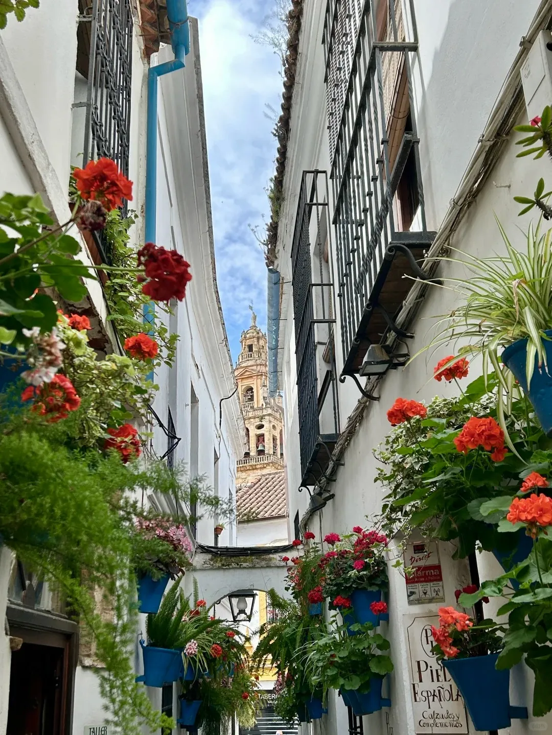 39dc4ced5e8427864e38c835bffac7f1-sz_557374