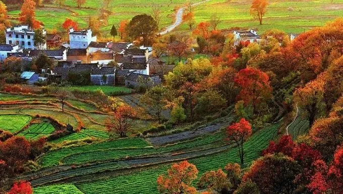 39e615c15eb2b95df5cbf895630cae94-sz_93468 39e615c15eb2b95df5cbf895630cae94-sz_93468