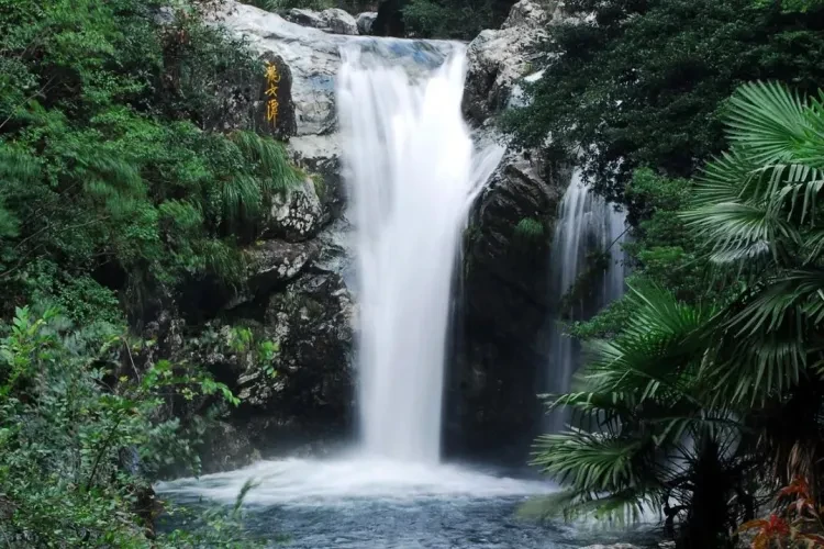 3a08b819628cfdfe6cf86d0999354573-sz_182522 3a08b819628cfdfe6cf86d0999354573-sz_182522