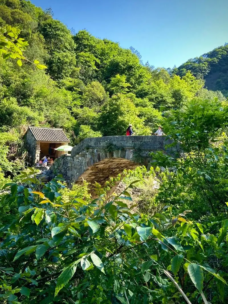 3a250d243d95559b371c35ee6548f6aa-sz_277219 3a250d243d95559b371c35ee6548f6aa-sz_277219