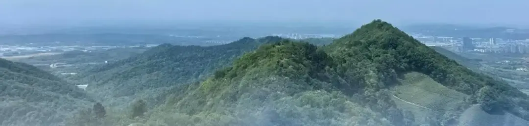 3a947d1a9edab0d1d7df25dffba430aa-sz_166697