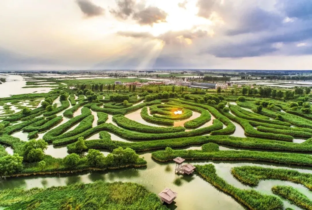 3b2f3ec051e44f7ddbaf4fdb6afd9bd1-sz_161593