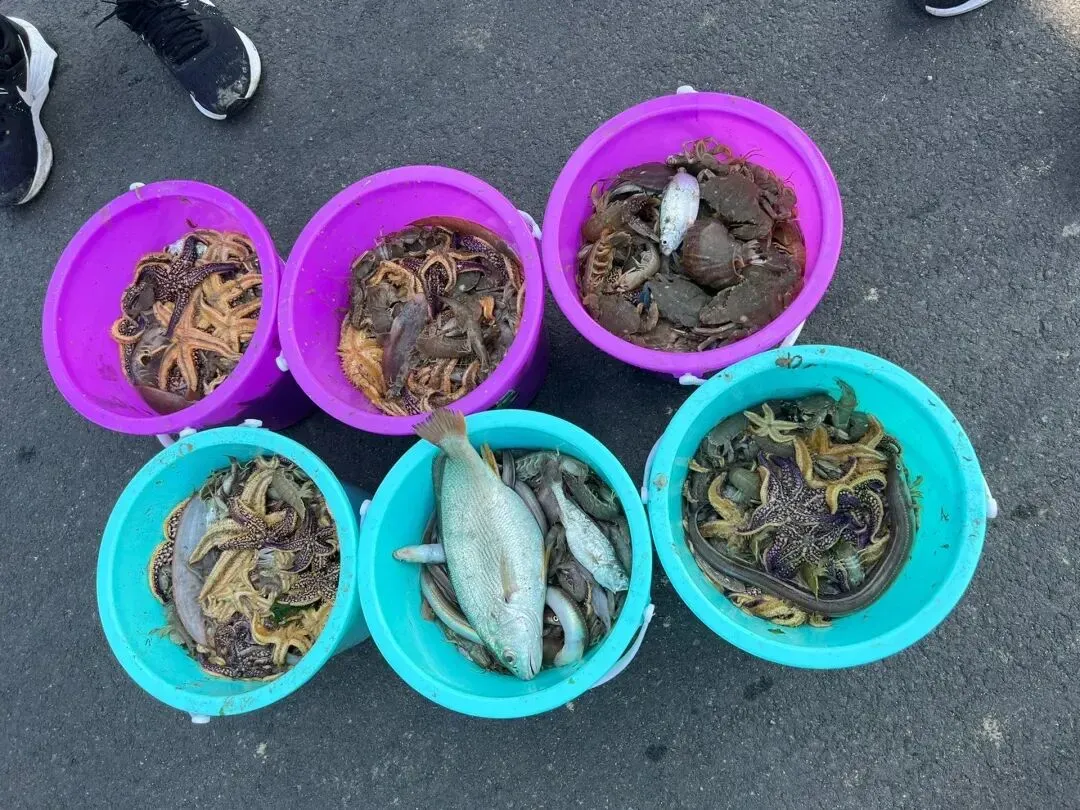 3b4dbbd5fa57c5c55ef0c42a87a4408f-sz_229445