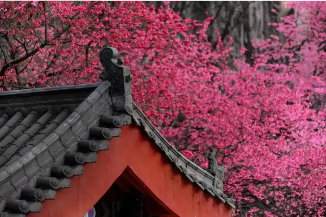 3b5bc4c5afb4dddc1a850f77f18872ea-sz_3196772 3b5bc4c5afb4dddc1a850f77f18872ea-sz_3196772