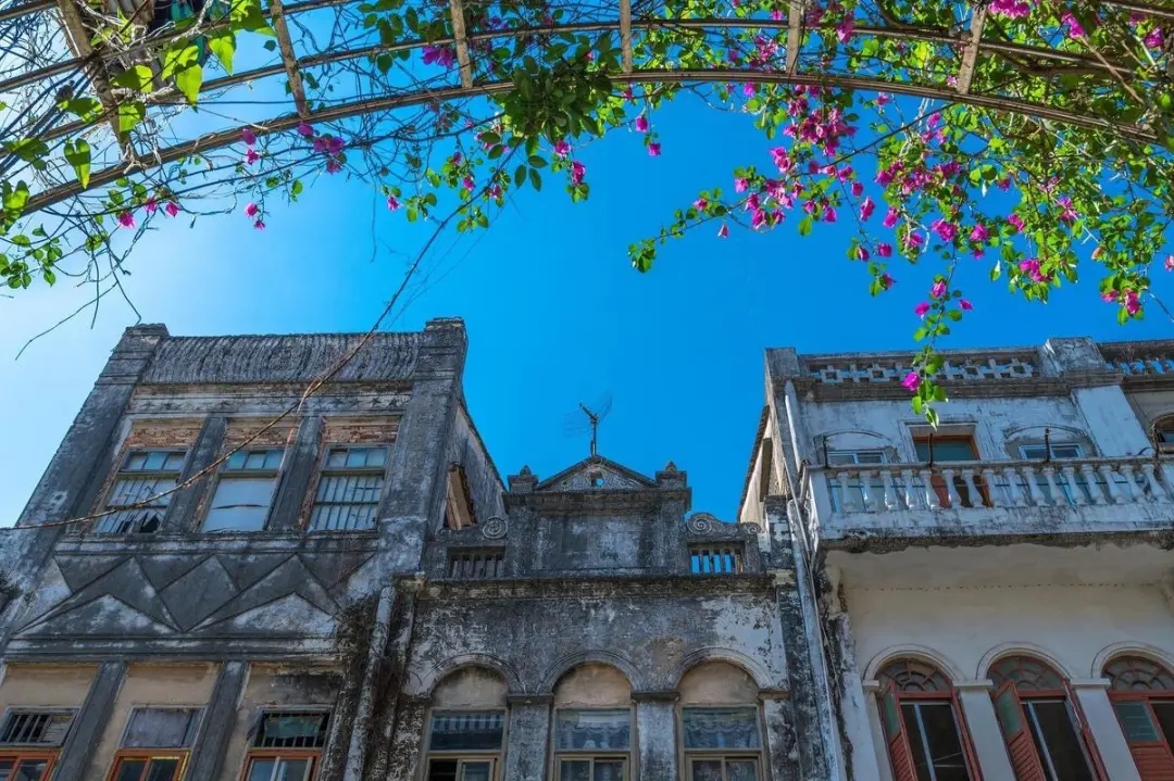 3b892edda228f54378ee4f594b49825f-sz_229045