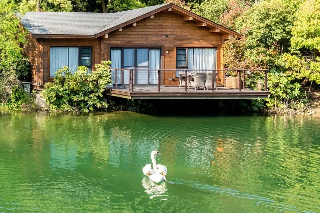 3bc9c2a767d0673478e76756912347a0-sz_222009