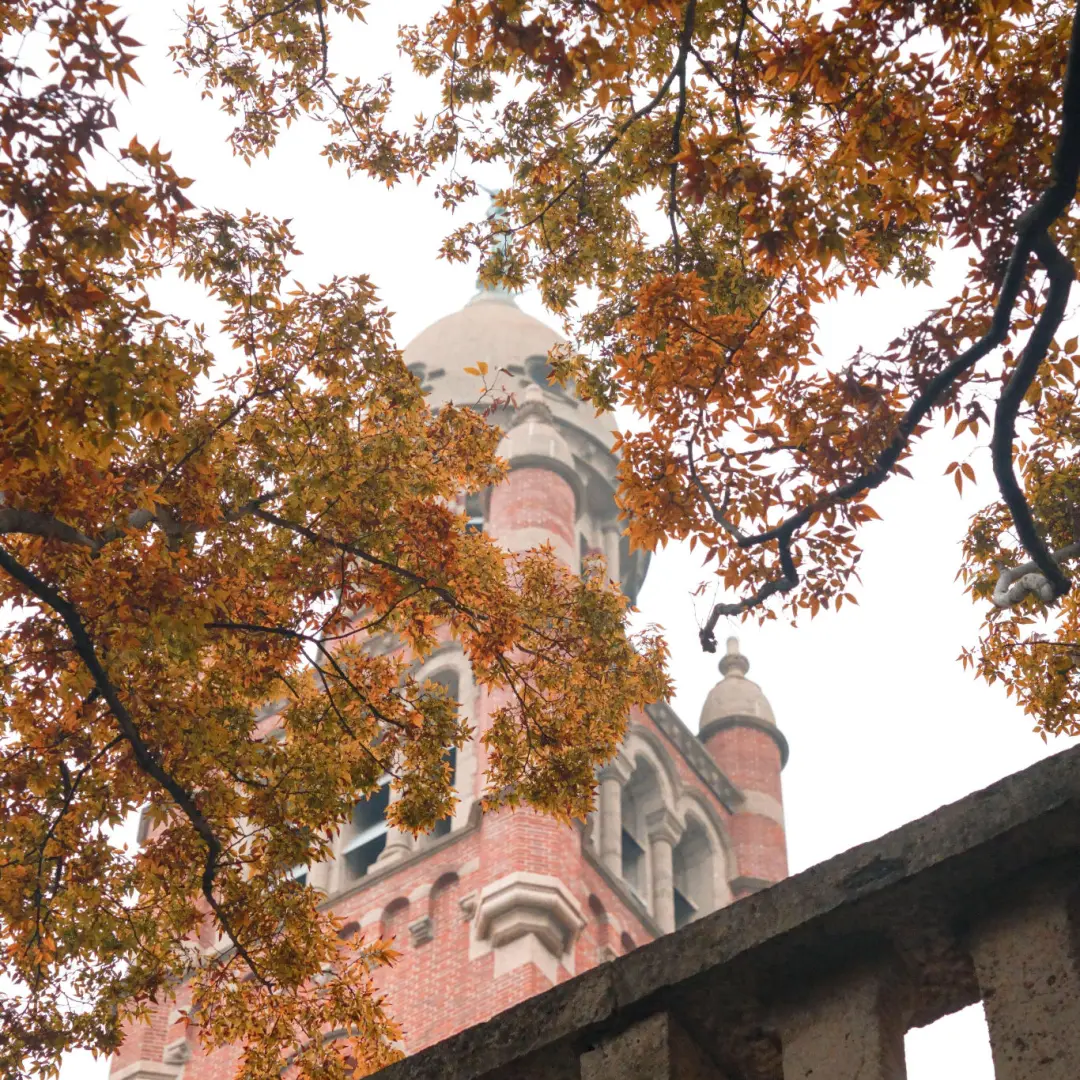 3c3ac48b1ad98723eb65dab013d9d1d5-sz_577629