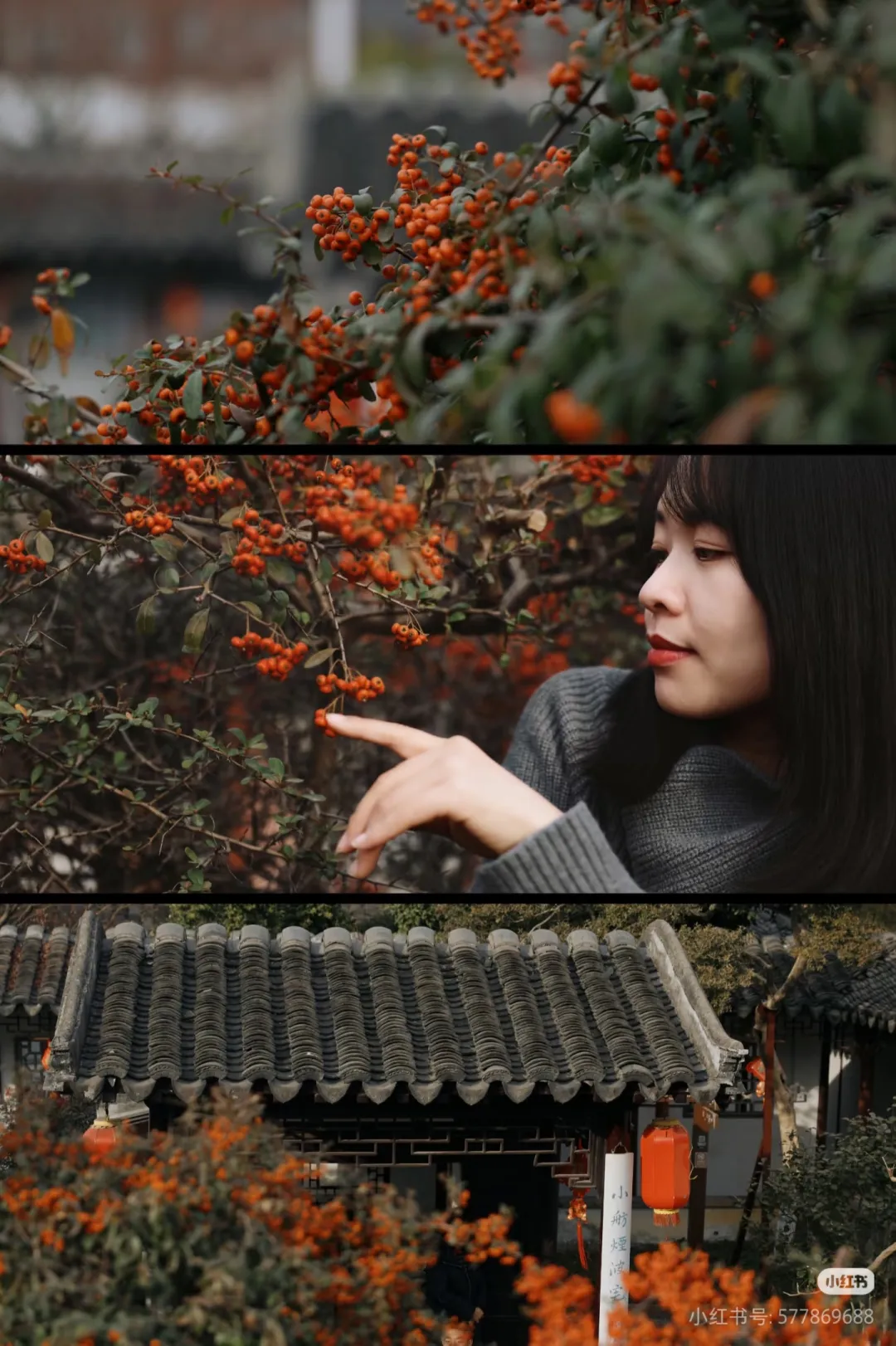 3c3bf79629274e6e0e253fb7c450ab5c-sz_1470022