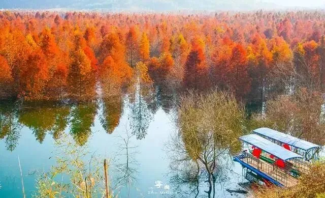 3c42c05baf7e64fe0c8d1756f2e4c67d-sz_72973