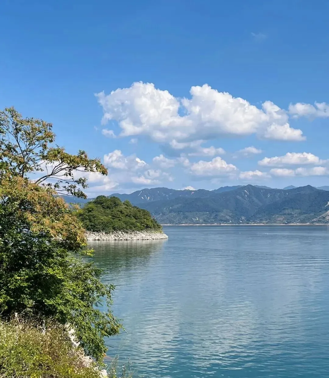 3c554a9aa7c6b66e16ad786fb821c4b7-sz_2709320