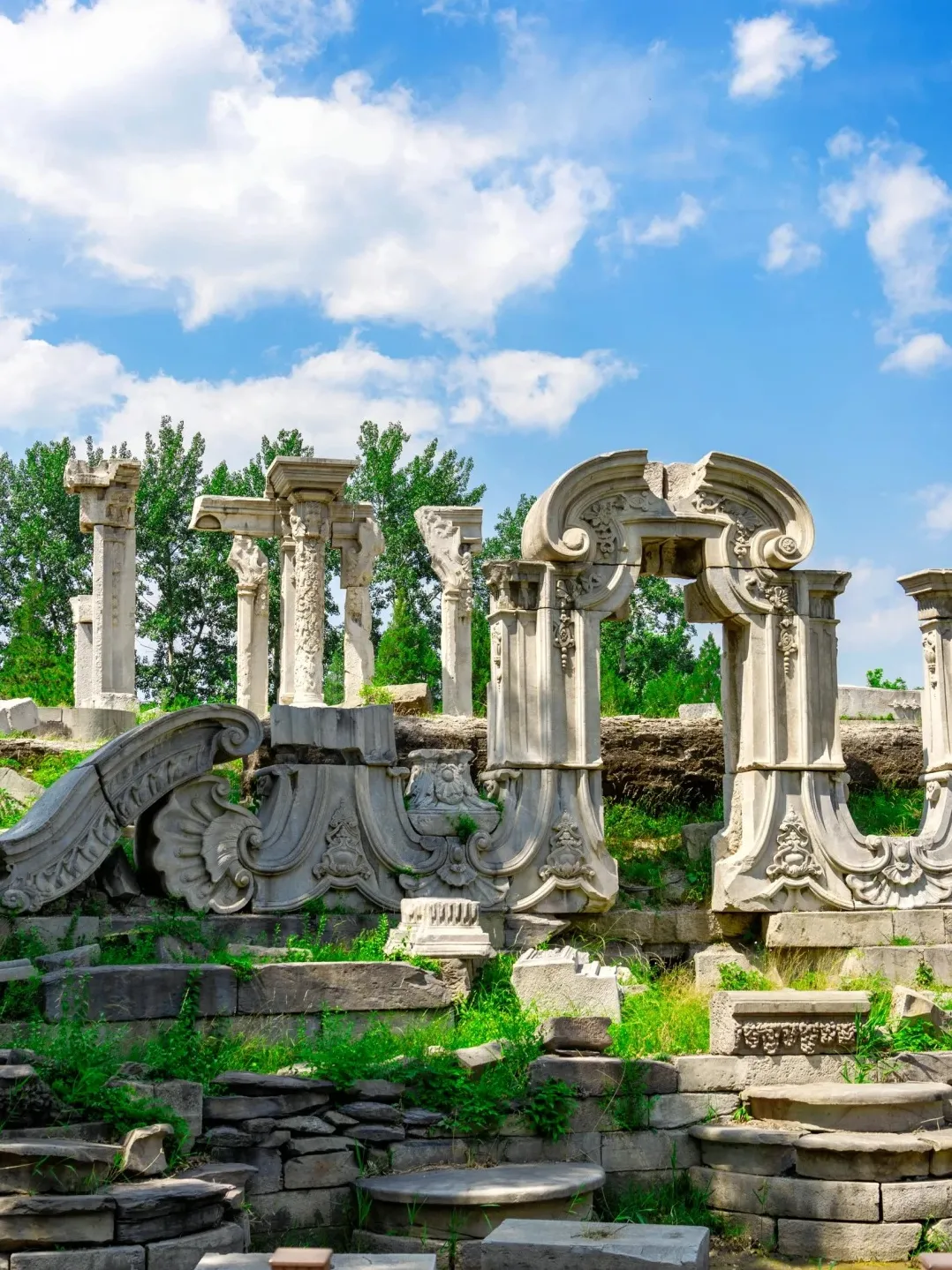 3c56d60ee996aa5253fd64741ff340b0-sz_540607