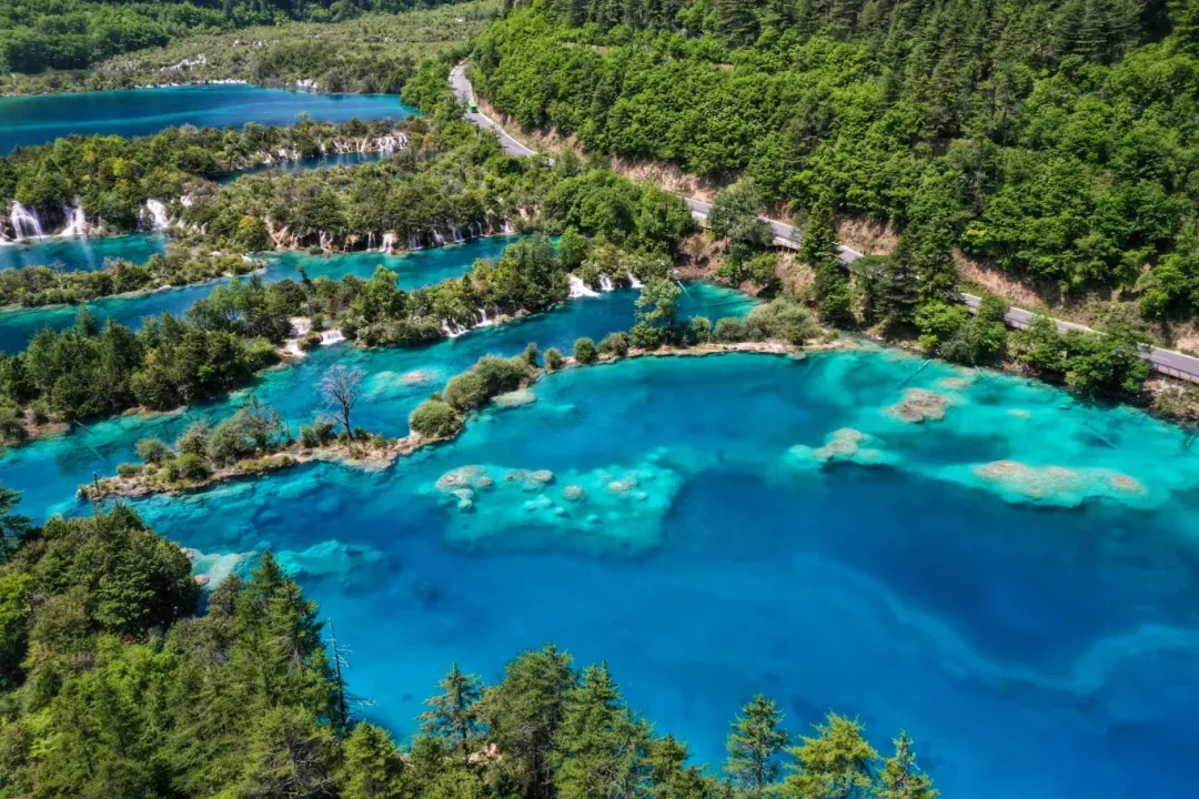 3c56e6696e839a83ea75dca18dceab1a-sz_1936094-1