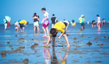 3c64446178d8254bc2d2daa1b4198ac7-sz_61984 3c64446178d8254bc2d2daa1b4198ac7-sz_61984