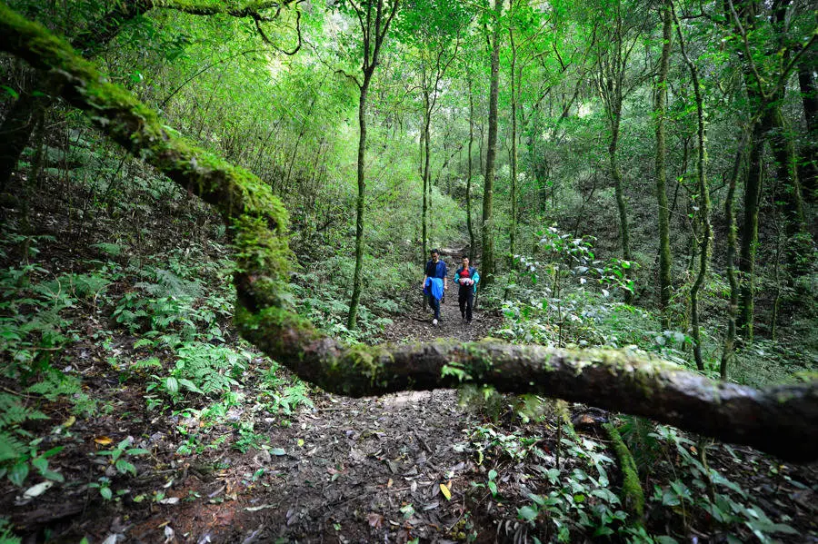 3cb47ed8569123225f0178b630f76ec3-sz_216586