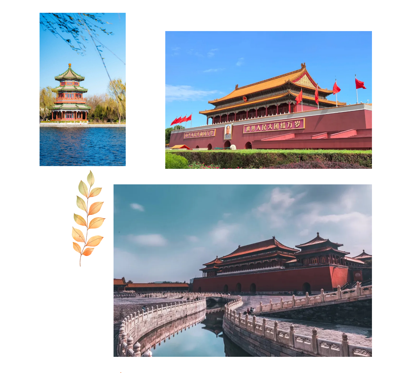 3cd98b62463bd85080092cbaaa795141 3cd98b62463bd85080092cbaaa795141